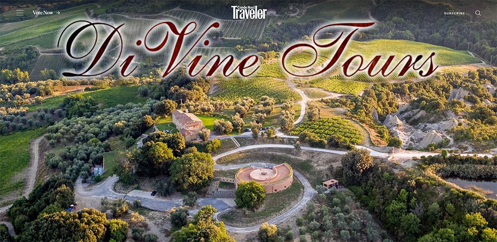 A bird 's eye view of an olive grove with the words " la vine tour ".