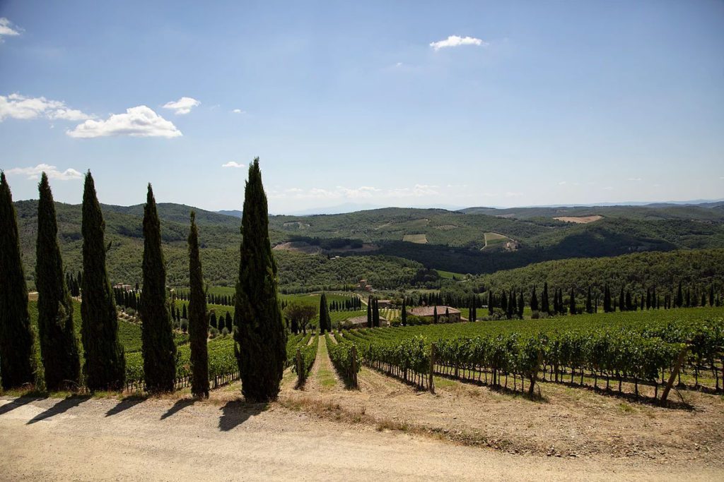A view of some trees and hills in the distance.